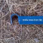 Scaffold rigel